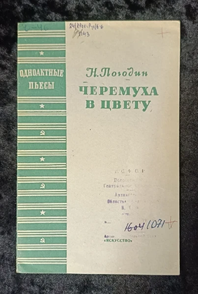 Черемуха в цвету